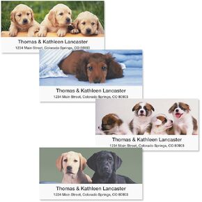 صور ملونة Bow Wow Dog Return Address تسميات بريدية ، تخصيصها مع الاسم والعناوين ، مجموعة من 144 ملصقات ذاتية ، سهلة القشرة المسطحة ، 1⅛ "× 2¼" ، تصميم واحد للحيوانات الأليفة