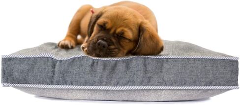 $ averpak pets - حرس بيرميثرين المعالجة بعوض ، الذباب ، القراد والمزيد من الحشرات طارد الكلب العظمي والحيوانات الأليفة مع غطاء قابل للغسل قابل للإزالة (رمادي صغير 20 "x15 × 3") in Kuwait