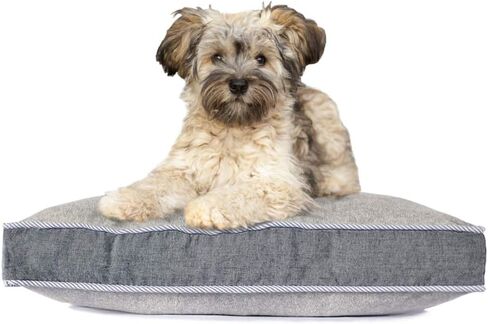 $ averpak pets - حرس بيرميثرين المعالجة بعوض ، الذباب ، القراد والمزيد من الحشرات طارد الكلب العظمي والحيوانات الأليفة مع غطاء قابل للغسل قابل للإزالة (رمادي صغير 20 "x15 × 3") in Kuwait
