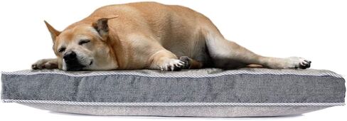 $ averpak pets - حرس بيرميثرين المعالجة بعوض ، الذباب ، القراد والمزيد من الحشرات طارد الكلب العظمي والحيوانات الأليفة مع غطاء قابل للغسل قابل للإزالة (رمادي صغير 20 "x15 × 3") in Kuwait