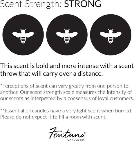 Fontana Candle Company - Fresh Mint and Lime Essential Oil Wax يذوب | مصنوعة من شمع العسل وزيت جوز الهند | غير سامة | مكعبات الشمع المعطرة بخفة in Saudi Arabia