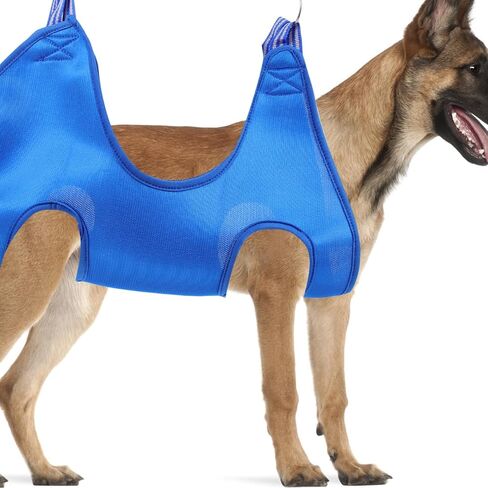 BESPORTBLE Breathable Blue Pet Hammock for Cats and Dogs Elevated Grooming Bed for Easy Nail Trimming Strong Support for Various Pet Sizes Conveniently Suspended with Metal Grommets in Kuwait