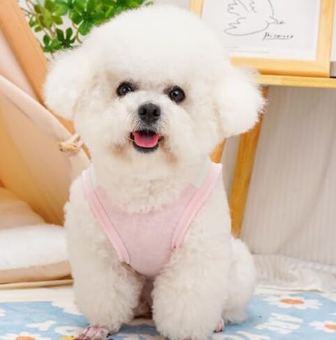 Dog Shirt with D-Ring, Sun Protection Summer Pet Clothes for Small Dogs Boy Girl Dog Cooling Vest Summer T-Shirt Puppy Sleeveless Tank Top (Iced Macaron, Large Size for 8.5-12lb Pets) in Kuwait