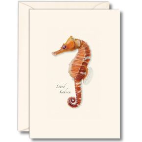 سماء الأرض + الماء - مجموعة Seahorse Notecard - 8 بطاقات فارغة مع الأظرف