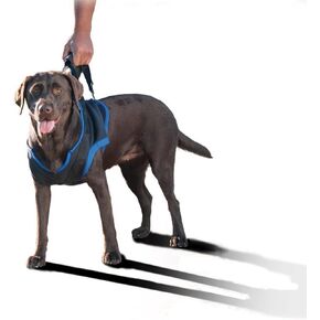 Front Harness (XSmall 10-14"