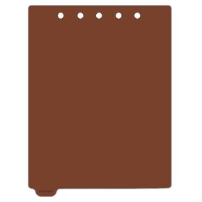 Carstens - Heavy Duty Restraint Documentation Plastic Ring Binder Dividers, Bottom Tab, 1/9 Cut, Tab 1 Position, US Letter, Pack of 10, (2623-61) - Ideal Medical Chart Dividers for 3 Ring Binders