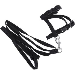 تسخير Popetpop Pet Cat مع مقود طوق Nylon Rope لتصميم آمن للوزن الخفيف للاستكشاف الداخلي وممارسة الأسود