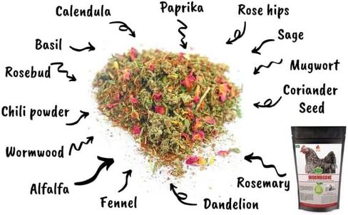 Non-GMO Backyard Chicken Nesting Herbs (10 oz) - Naturally Keep A Clean Coop Your Hens Will Love in Kuwait