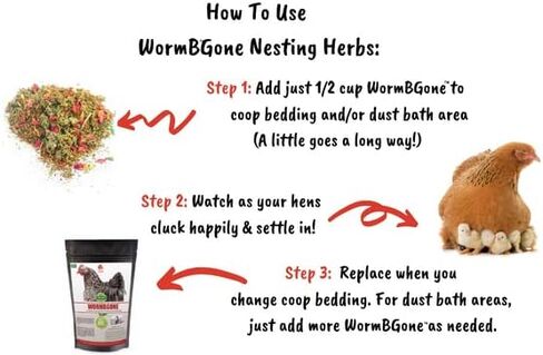 Non-GMO Backyard Chicken Nesting Herbs (10 oz) - Naturally Keep A Clean Coop Your Hens Will Love in Kuwait