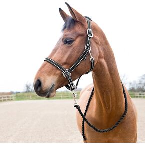HORZE Cooper Halter with Lead Rope