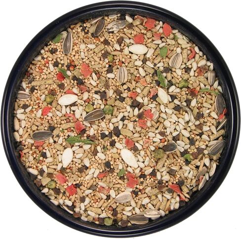 SLEEK & SASSY Garden Small Hookbill No Sunflower Bird Food for Lovebirds, Cockatiels, Quaker Parrots & Small Conures (4 lbs.) in Saudi Arabia