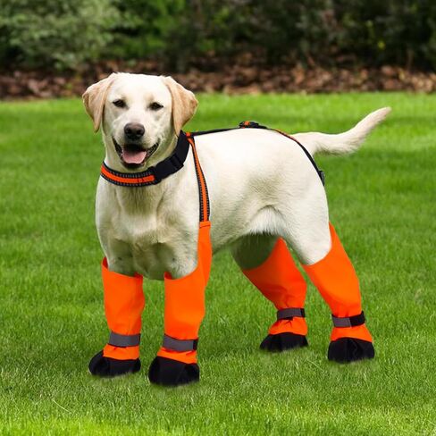 Dog Suspender Boots, Anti-Slip & Fall Waterproof Dog Shoes Leggings, Dog Paw Protector for Small Medium Dogs, Adjustable Dog Boots Pet Shoes for Outdoor Walking Black,S in Kuwait