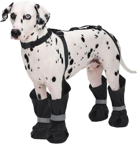 Dog Suspender Boots, Anti-Slip & Fall Waterproof Dog Shoes Leggings, Dog Paw Protector for Small Medium Dogs, Adjustable Dog Boots Pet Shoes for Outdoor Walking Black,S in Kuwait