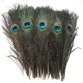American Feathers Peacock Eye Feathers (Natural 10-12", per 25)