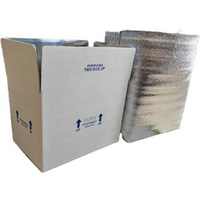 double insulated courier box with aluminum foil plastic foam lining, 4pcs 7x6x10 inch for shipping perishable items, recommended to use dry ice (not included),small shipping box Mailer,white