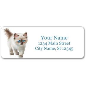 Personalized Return Address Labels - Adorable Kitten Design - Custom Self-Adhesive Stickers (60-1000 Full Color Labels)