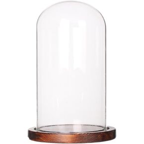 Glass Cloche Display Dome with Coffee Wood Base - Clear Glass Dome Display Case for Tabletop Decor (Dia4"xH 7") - Protective Cover for Desserts, Jewelry, Collectibles