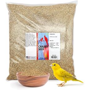 Morning Bird Canary Seed – Nutritional Rich in Vitamins and Supplements for Birds – Ideal for Healthy Feathers and Strong Bones Seed for All Birds Type 1.5 lbs