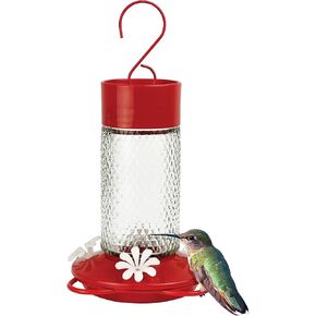 Nature's Way Hanging Glass Hummingbird Feeder for Outdoor Décor, 28 Ounce Capacity Nectar Feeder, Ant Moat, 7 Easy to Clean Flexible Ports, Red