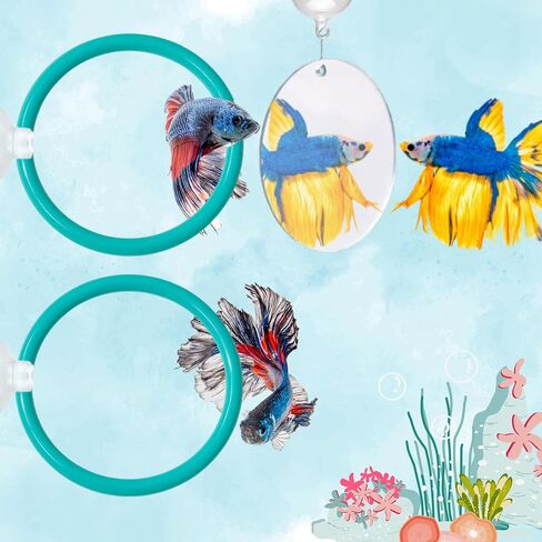 2 pcs Betta Ring Enrichment Toys with 1 pcs Betta Mirror, Exercise Training Ring and Floating Mirror for Fish Tank, Aquarium Feeding Rings with Floating Mirrors, Fish Toys, Bettas Toy (Teal, M-70mm) in Saudi Arabia
