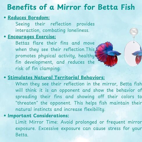 2 pcs Betta Ring Enrichment Toys with 1 pcs Betta Mirror, Exercise Training Ring and Floating Mirror for Fish Tank, Aquarium Feeding Rings with Floating Mirrors, Fish Toys, Bettas Toy (Teal, M-70mm) in Saudi Arabia