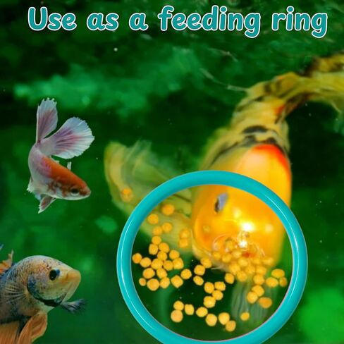 2 pcs Betta Ring Enrichment Toys with 1 pcs Betta Mirror, Exercise Training Ring and Floating Mirror for Fish Tank, Aquarium Feeding Rings with Floating Mirrors, Fish Toys, Bettas Toy (Teal, M-70mm) in Saudi Arabia