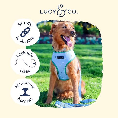 Lucy & Co. 5 قدم الكلب المقود - أفضل مصمم للكلاب المقود - خطوط ومراكب شراعية زرقاء وبيضاء ، كبيرة in Kuwait