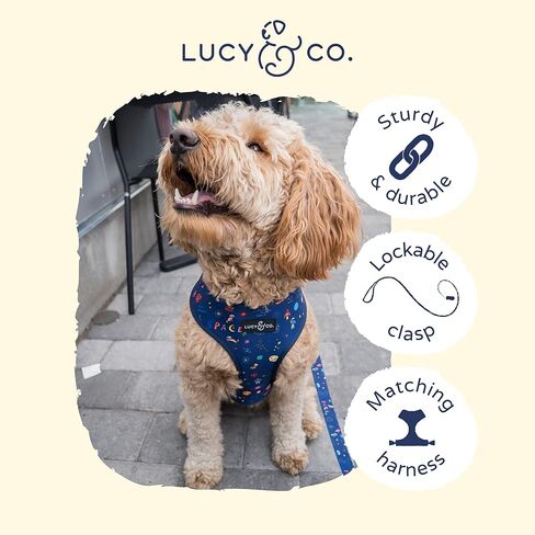 Lucy & Co. 5 قدم الكلب المقود - أفضل مصمم للكلاب المقود - خطوط ومراكب شراعية زرقاء وبيضاء ، كبيرة in Kuwait