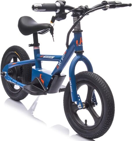 Electric Dirt Bike for Kids 5-12 Years, 300W Super Power Motor, 16in Wheels with Shock Absorption, Up to 12.43MPH Speed, Key Start & LED Headlight, Adjustable Seat, 39.7lbs Lightweight in Saudi Arabia