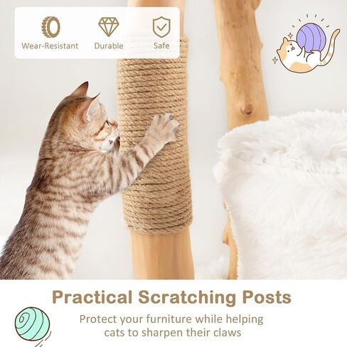 Petsite 49 بوصة شجرة القط للقطط الداخلية ، خشب لطيف الصلبة برج القطط متعدد المستويات الحديثة مع وظائف الخدش ، سرير سلة سلة أعلى ، جثم جانبي ، منصة كبيرة ، وشقة (أبيض) in Kuwait