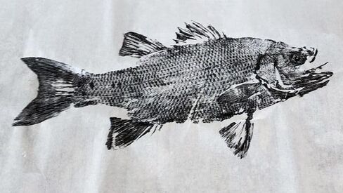 Iko Print DIY Gyotaku Fish Printing Art Kit - Print Your own Catch! - Fishing Gifts for Men - (5 Sheets of Rice Paper, sumi Ink, Bowl, and Brushes) - Japanese Fish Art for Your Home in Saudi Arabia