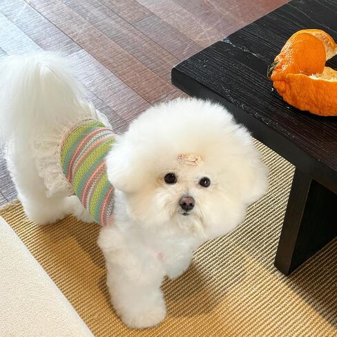 Colorful Knitted Pet Clothes with Lace Trim - Stylish Comfort for Small Dogs & Cats (Yellow Dress, Large) in Saudi Arabia