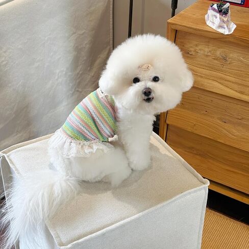 Colorful Knitted Pet Clothes with Lace Trim - Stylish Comfort for Small Dogs & Cats (Yellow Dress, Large) in Saudi Arabia