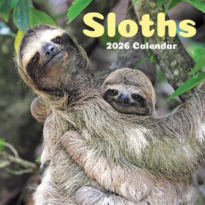2026 Big Print Mini Calendar