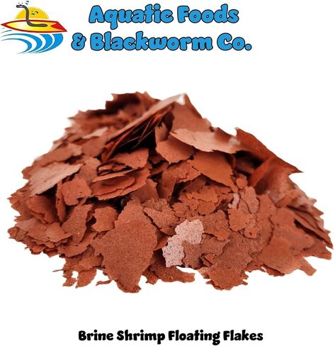 Aquatic Foods Inc. Brine Shrimp Flakes for Freshwater Cichlids, Angels, Tetras, Guppies, Marine Tangs, Butterflies, Angelfish, Anthias, Clown Fish. WL…1/2-lb Foil Pouch Bag in Saudi Arabia