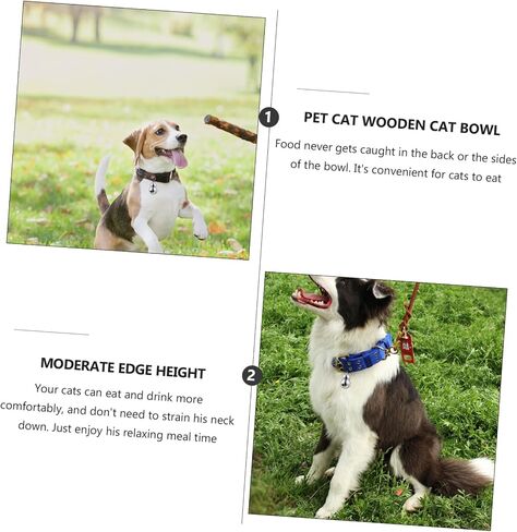 Totority Pet Twlar المعلقات in Kuwait