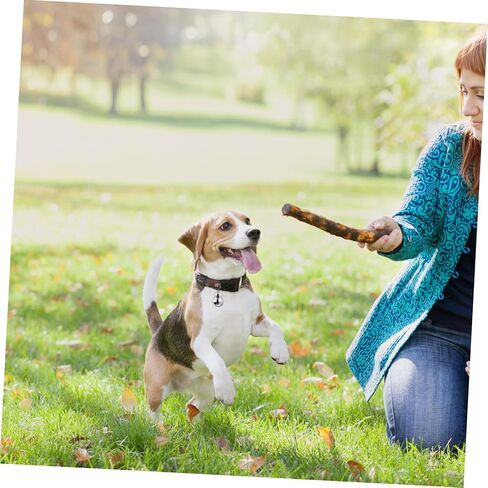 Totority Pet Twlar المعلقات in Kuwait