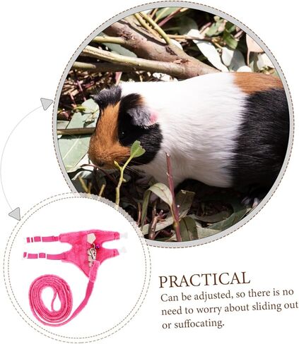 Upkoch Pet Harness Leash for Animals Ferret Walking Stest مع مقود مريح للاستخدام في الهواء الطلق مريح من السهل عملية واحدة in Kuwait