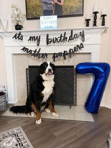 7 Numbers Balloon, 40 Inch 7 Balloons for Birthday Party, Dark Blue Number Balloons for 7, 17, 27 Game Competition Wedding Anniversaries Party, Christmas and New Years Eve Party in Kuwait