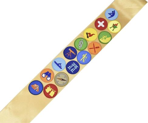 Embroidered Patch Come with Satin Sash Double Sided Sticky Fix Morale Patch Tactical Military Morale Patches Party Decorations Applique DIY Accessory (15pc Green) in Kuwait