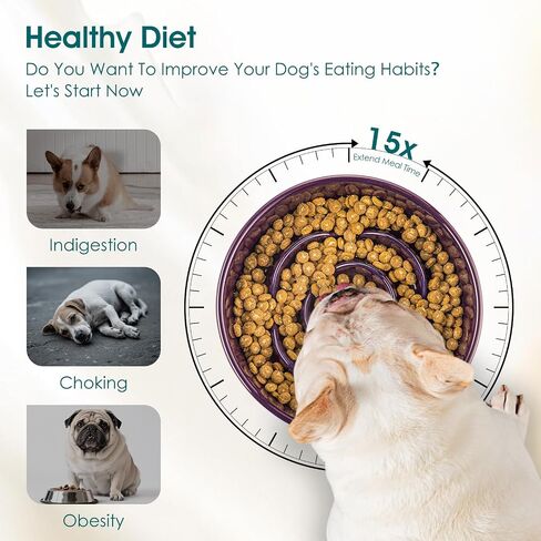 vancasso Slow Feeder Dog Bowl, 0.6 Cups Ceramic Dog Food Dish for Fast Eaters Small Breed, Puzzle Bowl for Small Dogs and Cats, Dark Purple in Kuwait