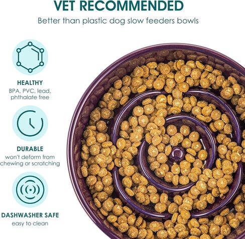 vancasso Slow Feeder Dog Bowl, 0.6 Cups Ceramic Dog Food Dish for Fast Eaters Small Breed, Puzzle Bowl for Small Dogs and Cats, Dark Purple in Kuwait