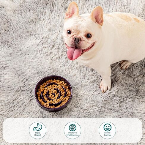 vancasso Slow Feeder Dog Bowl, 0.6 Cups Ceramic Dog Food Dish for Fast Eaters Small Breed, Puzzle Bowl for Small Dogs and Cats, Dark Purple in Kuwait