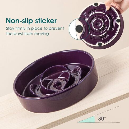 vancasso Slow Feeder Dog Bowl, 0.6 Cups Ceramic Dog Food Dish for Fast Eaters Small Breed, Puzzle Bowl for Small Dogs and Cats, Dark Purple in Kuwait