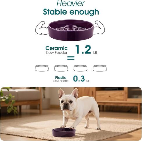 vancasso Slow Feeder Dog Bowl, 0.6 Cups Ceramic Dog Food Dish for Fast Eaters Small Breed, Puzzle Bowl for Small Dogs and Cats, Dark Purple in Kuwait