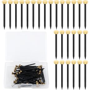 50Pcs Picture Hanging Nails Picture Hang Solutions Plaster Picture Frame Hanger Nails with Plastic Storage Box (0.055x1.4inch)