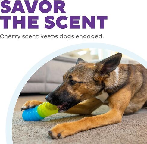 Outward Hound Gummiez Worm 2-in-1 Dental Dog Chew Toy and Dog Treat Stuffer Game, Cherry Scent, Multicolored in Saudi Arabia
