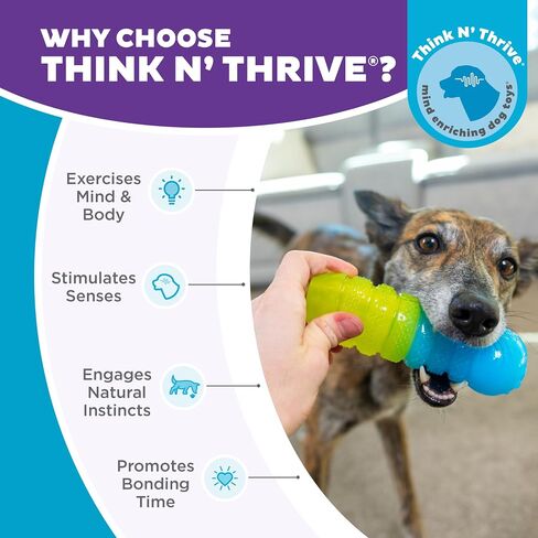 Outward Hound Gummiez Worm 2-in-1 Dental Dog Chew Toy and Dog Treat Stuffer Game, Cherry Scent, Multicolored in Saudi Arabia