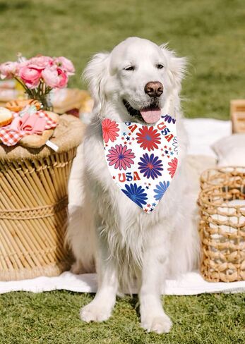 4th of July Dog Bandanas 2 Pack, Triangle Reversible Pet Patriotic Scarf for Boy and Girl, Stars USA Pet Scarves for Independence Day Neckerchief Bulk, Adjustable Fits (4th of July, Small) in Saudi Arabia