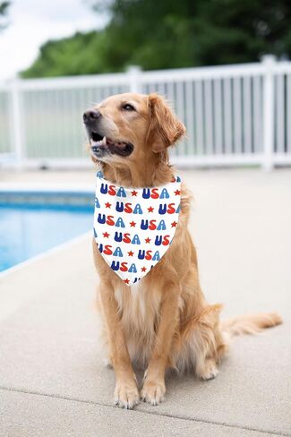 4th of July Dog Bandanas 2 Pack, Triangle Reversible Pet Patriotic Scarf for Boy and Girl, Stars USA Pet Scarves for Independence Day Neckerchief Bulk, Adjustable Fits (4th of July, Small) in Saudi Arabia